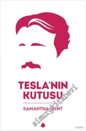 Tesla'nın Kutusu -        2015