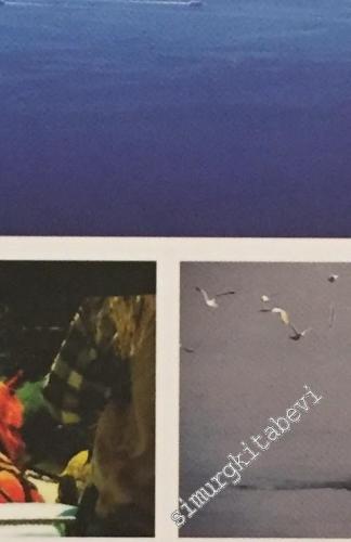 The Princes' Islands -