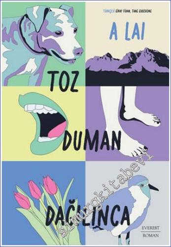 Toz Duman Dağılınca -        2023