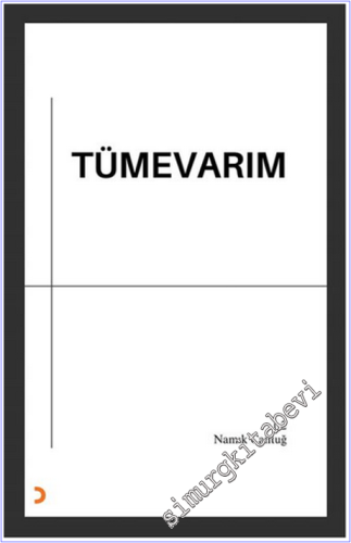 Tümevarım - 2026