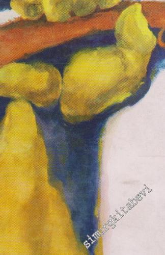 Türk Gerilla Tarihi  -        1970