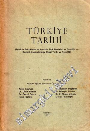 Türkiye Tarihi: Anadolu Selçukluları, Anadolu Türk Beylikleri ve Teşki