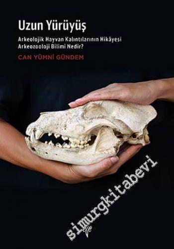 Uzun Yürüyüş. Arkeolojik Hayvan Kalıntılarının Hikâyesi Arkeozooloji Bilimi Nedir -        2020