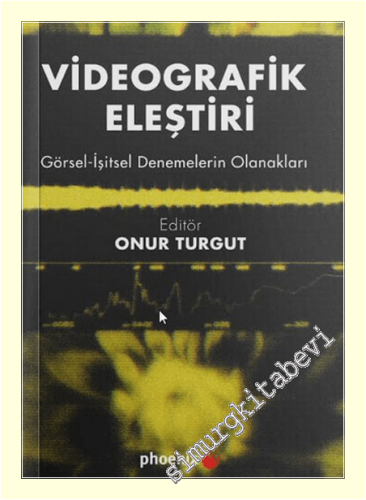 Videografik Eleştiri: Görsel – İşitsel Denemelerin Olanakları