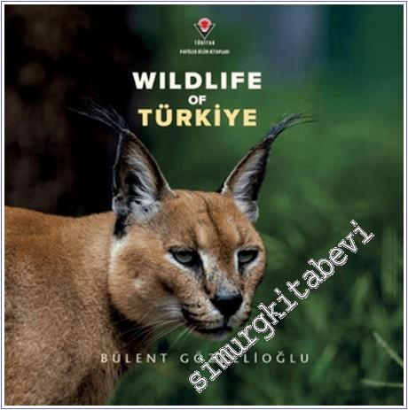 Wildife of Türkiye -        2025