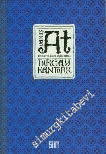 Yanlış At: Şiir Ve Şair Ve Başka Şeyler Üstüne -