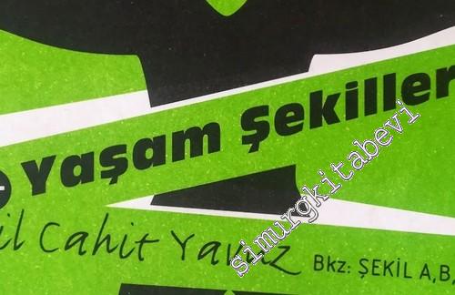 Yaşam Şekilleri -        2010