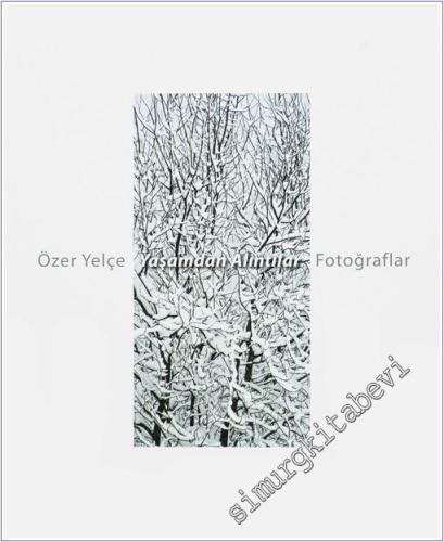 Yaşamdan Alıntılar -        2011