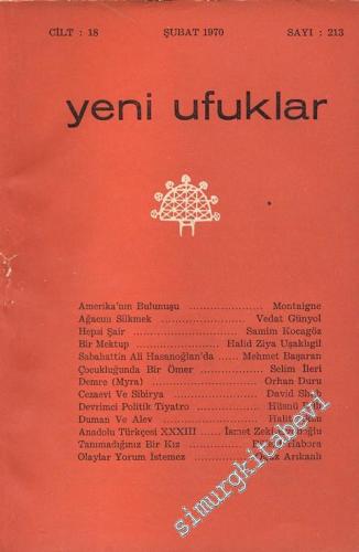 Yeni Ufuklar Aylık Sanat Fikir Dergisi - Sayı: 213, Şubat 1970       1970