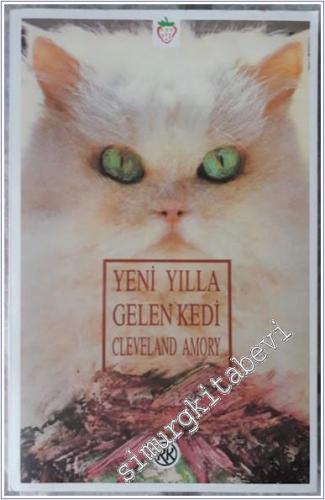 Yeni Yılla Gelen Kedi