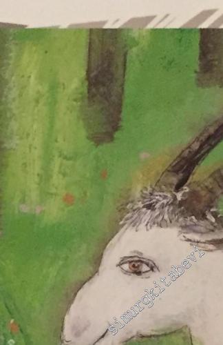 Yeşil Yürek Kayabeyi -        2024