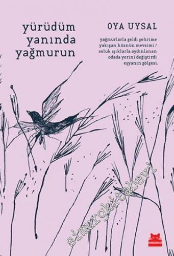 Yürüdüm Yanında Yağmurun -