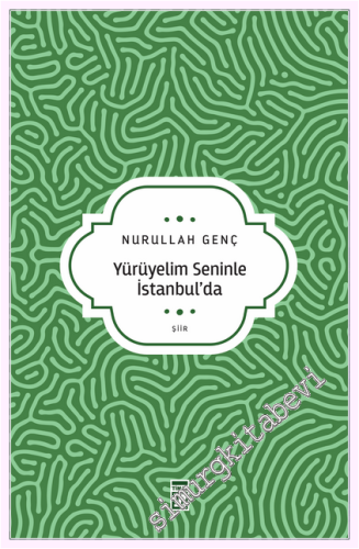Yürüyelim Seninle İstanbul'da -