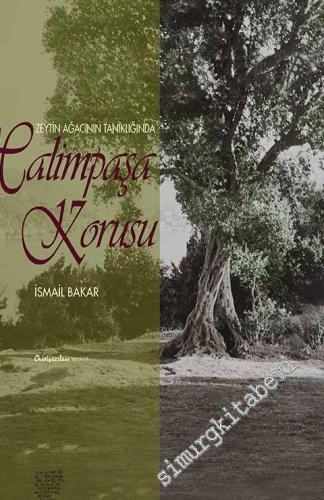 Zeytin Ağacının Tanıklığında Halimpaşa Korusu'nun Öyküsü -