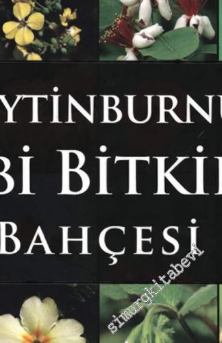 Zeytinburnu Tıbbi Bitkiler Bahçesi -