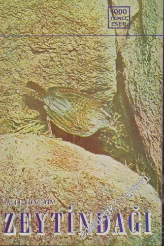 Zeytindağı -